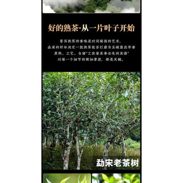 CIFbuy Pu'er Tea [Collection Level] Mengsong Old Tree Round Tea Ripe Tea Tea Cakes 357g