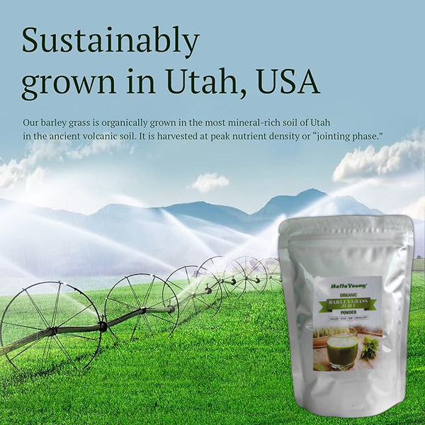 Pure Organic Barley Grass Original Powder Juice Drink 250g Non-GMO, Finely Ground Whole Dried Young Leaves, Pure, Kosher, Vegan, Bulk. Good Source of Fiber, Protein. Great for Juices, Smoothies, Shakes, Yogurts