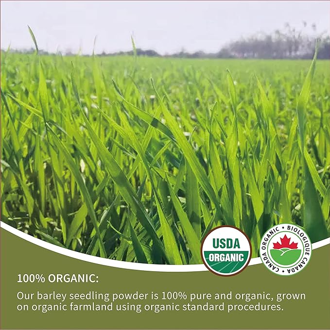 HelloYoung Barley Grass Powder 100% Pure & Organic, Pure Organic Barley, Organic Barley Grass Juice Powder, All Natural Ingredients for Men and Women