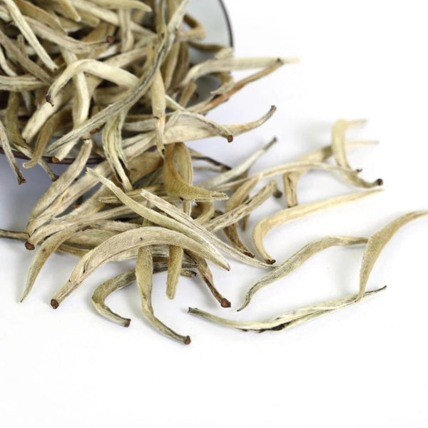 CIFbuy 500g Supreme Silver Needle White Tea Chinese Tips Bai hao Yin zhen Loose Leaf