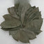CIFbuy GRAVIOLA LEAF 100g Wild Harvest Soursop Custard Apple Annona Muricata
