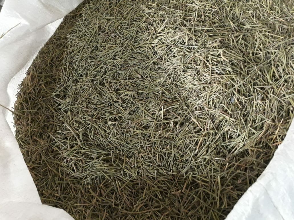 Chinese Medicinal Herb Ma Huang Grade A 250g Main image
