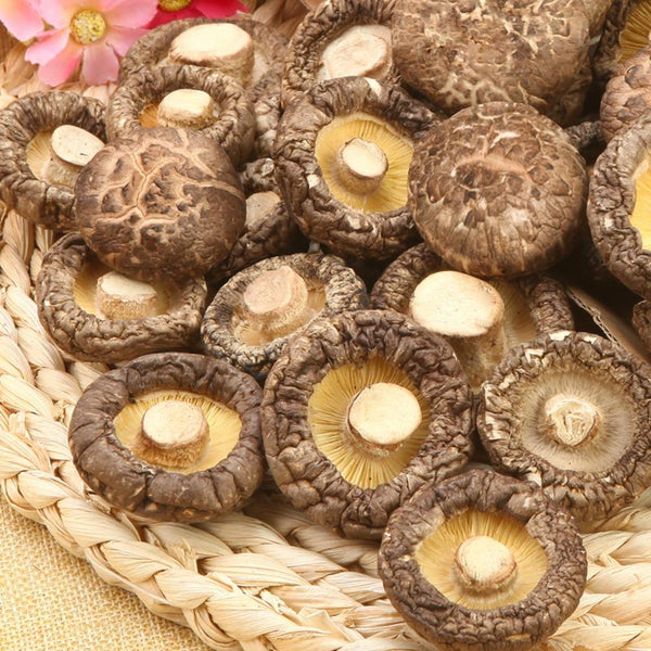 CIFbuy Dried Shiitake Mushrooms Edible Fungus Natural Healthy Nutritious Gourmet