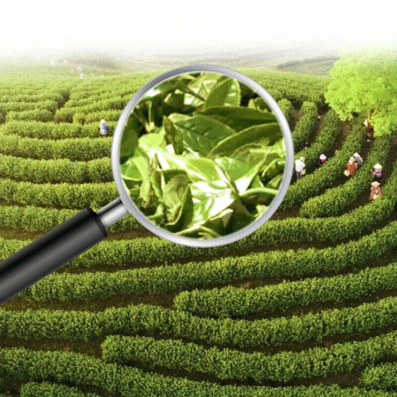 CIFbuy China Tea Organic Fuding Supreme Bai Mu Dan White Peony Cake White Tea 330g