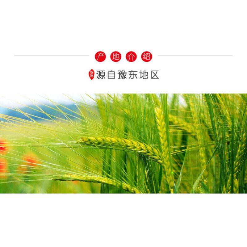 CIFbuy Mature Wheat Flour Bulk Grain Powder Grain Flour Meal Replacement Powder 500g