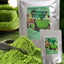 Original Green Tea Boost Metabolism Keto Matcha Weight Loss Slimming Product For Bake Drinks