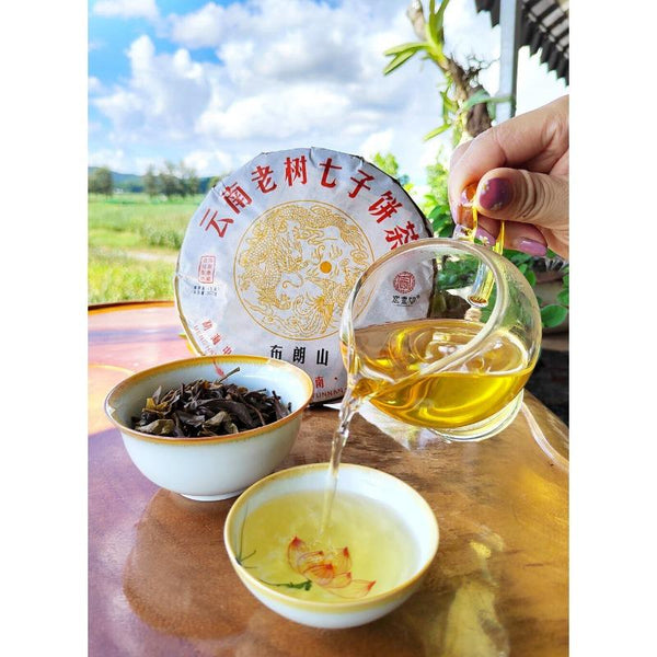 CIFbuy Yunnan Menghai Pu'er Tea Brown Mountain Early Spring Arbor Pu'er Raw Tea Cake
