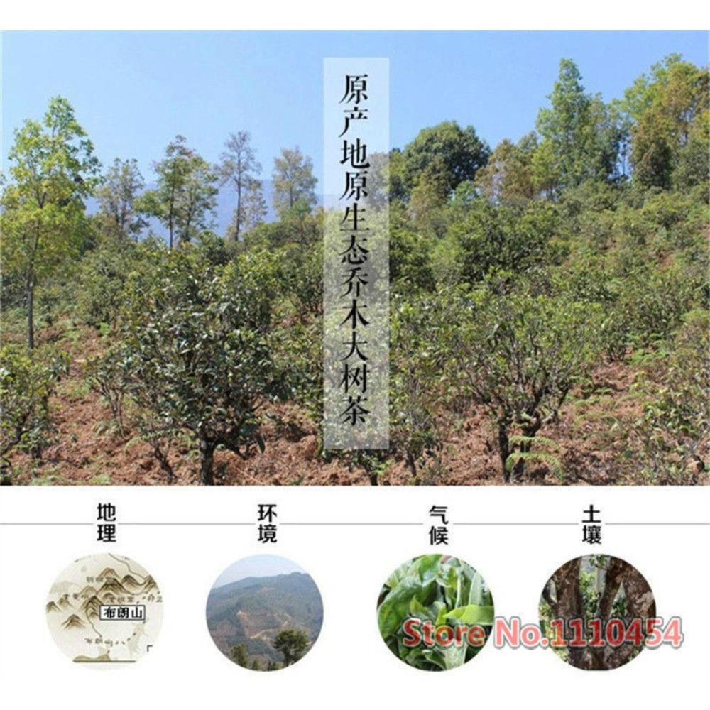 CIFbuy Premium Mini Tuocha Puer Tea with Glutinous Rice Aroma in Tin