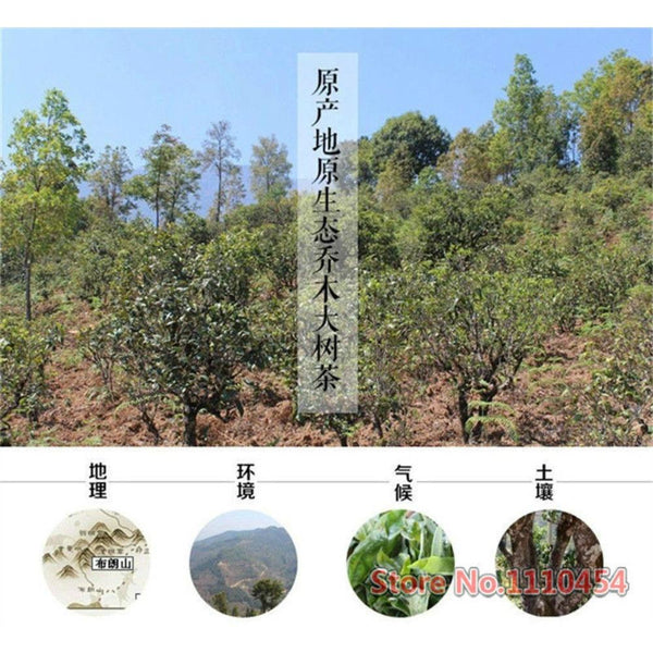 CIFbuy Premium Mini Tuocha Puer Tea with Glutinous Rice Aroma in Tin