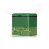 Premium Slimming Tea 80g Yunnan Biluochun Green Tea Loose Leaf Iron Box Gift Tea