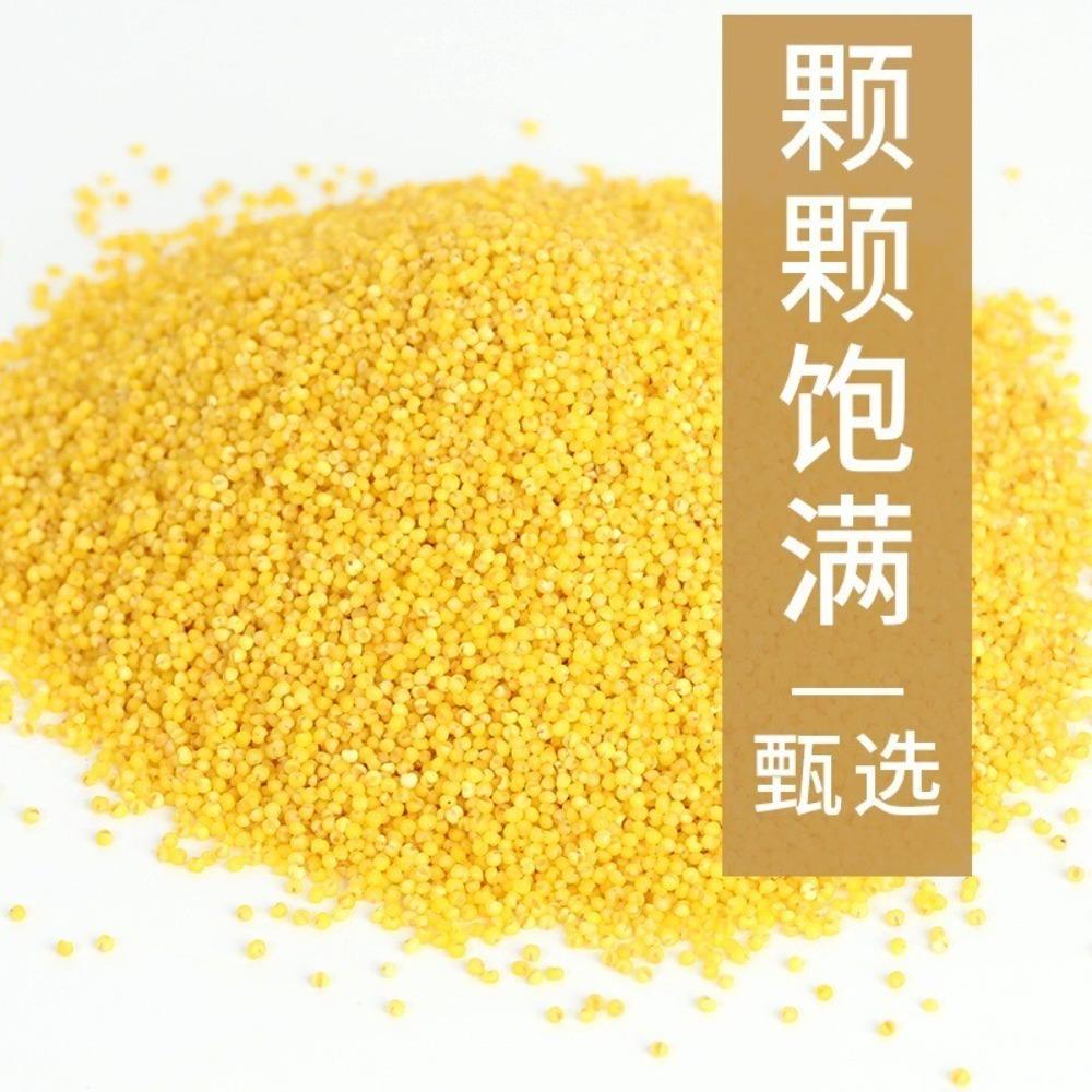 CIFbuy 500g Shandong Golden Millet He Lai Xiang High Fiber Gluten Free Porridge Cereal