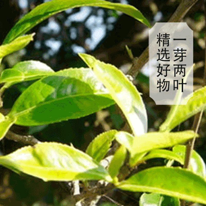 CIFbuy Brown Raw Tea Yunnan Pu'er Tea Early Spring Raw Tea 357/g Floral Fragrance
