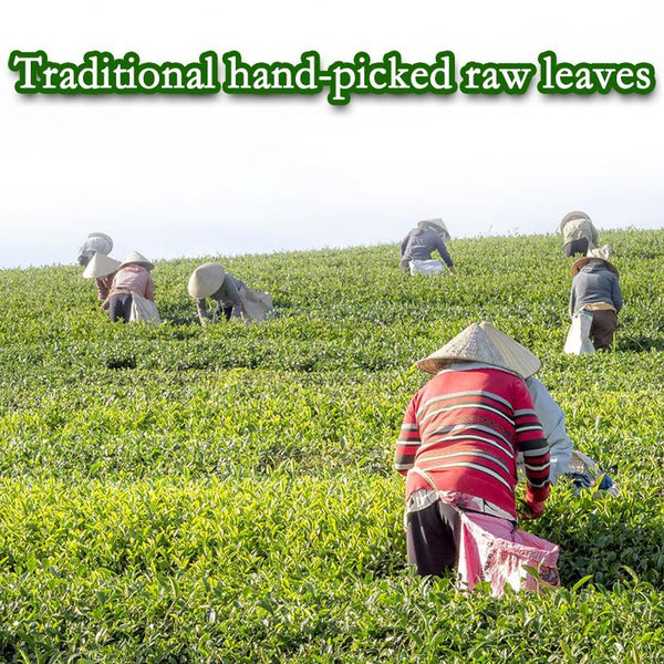 CIFbuy HelloYoung Jin Xuan Milk Oolong Tea 250g High Quality Tieguanyin Green Tea Milk Oolong Superior Health Care Milk Tea Strong aroma resistant to brewing