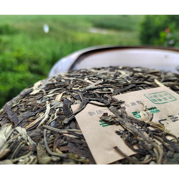 CIFbuy 357g Yunnan Puerh Tea Menghai Brown Mountain Cake First Spring Pu'er Raw Tea
