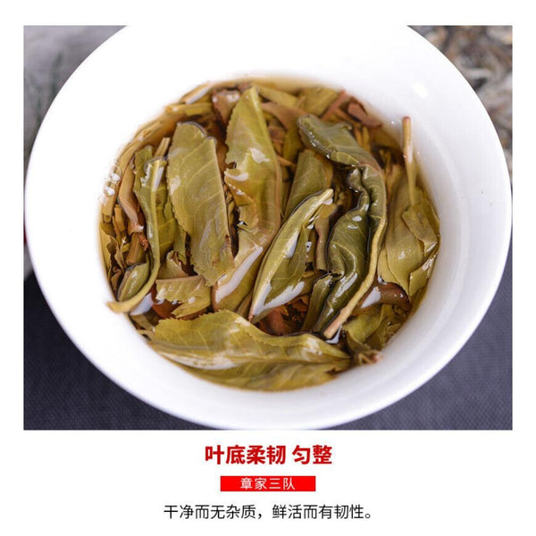 CIFbuy Bulang Famous Mountain Aged Tree 500g Haiwan Zhang Jia San Dui Puer Tea
