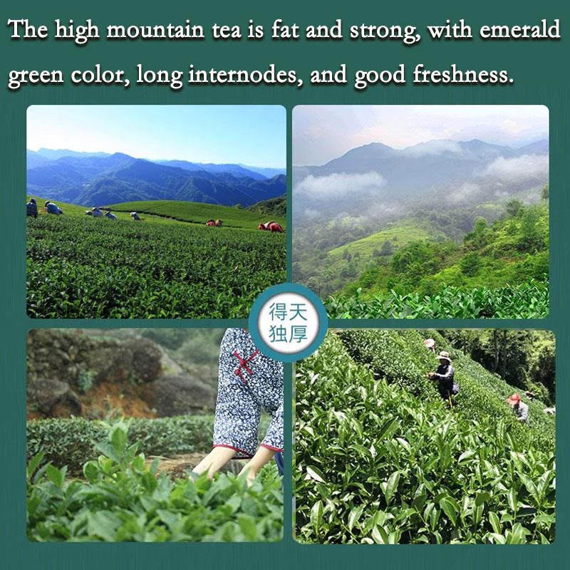 CIFbuy HelloYoung Jin Xuan Milk Oolong Tea Loose Leaf - Taiwan Alishan High Mountain Oolong Tea Leaves 250g Strong aroma resistant to brewing