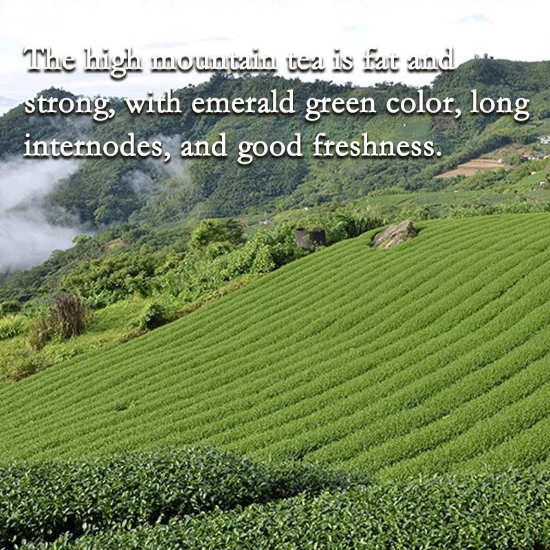 CIFbuy HelloYoung Jin Xuan Milk Oolong Tea Taiwan Alishan High Mountain Milk-scented Wulong Tea Gaoshan Cha Strong aroma resistant to brewing