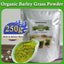 Organic Barley Powder 100% Pure and Natural, No Additives and Preservatives Cold Pressed Rich in Immune Vitamin, Fibers, Minerals, Antioxidants and Protein