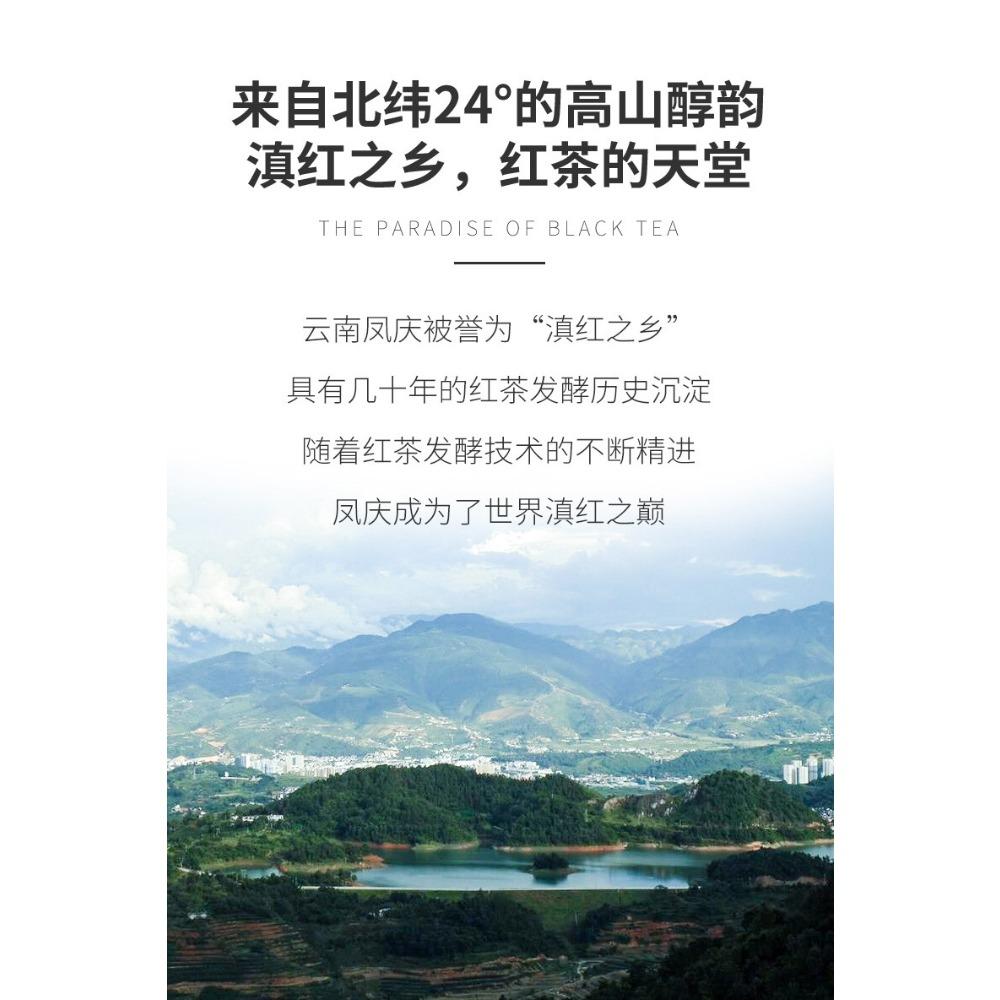 CIFbuy 250g Yunnan Dian Hong Black Tea Ancient Tree Tea Brick