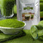 HelloYoung Barley Grass Powder 100% Pure & Organic, Pure Organic Barley, Organic Barley Grass Juice Powder, All Natural Ingredients for Men and Women