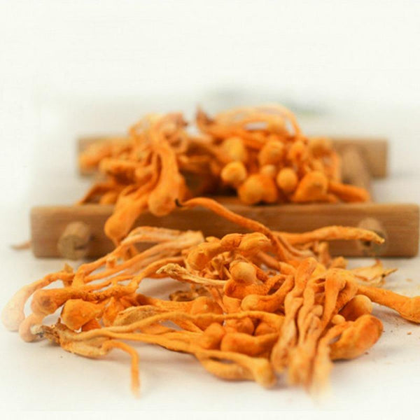 CIFbuy Cordyceps Militaris Powder Organic Mushroom Rich In Protein Amino Acids Herbal