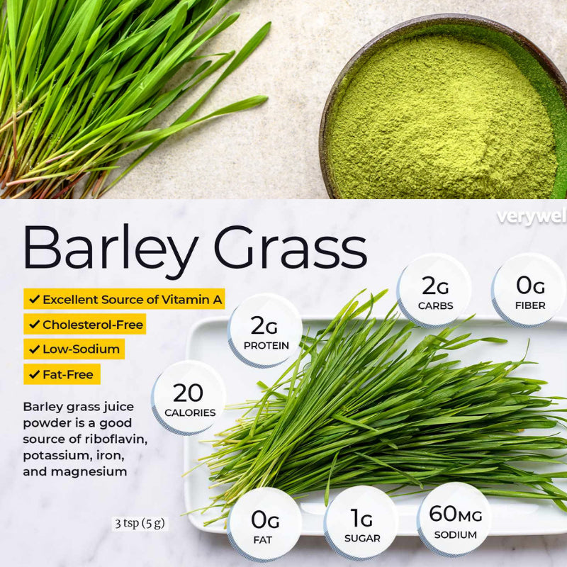 Unsweetened Premium Organic Barley Grass Powder 250g Contains Iron Vitamin C, & Vitamin E – Non-GMO