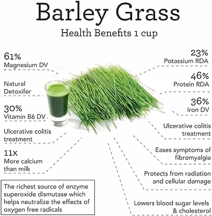 Organic Barley Grass Powder original 250g moistening intestines, Weight Loss Barley Health Matcha Beverage