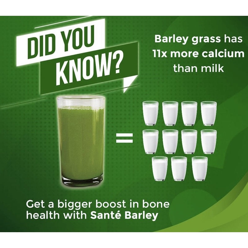 Organic Barley Grass Powder 250g, Green Superfood for Smoothie, Shakes and Salads Support Immune System and Digestion, Vegan