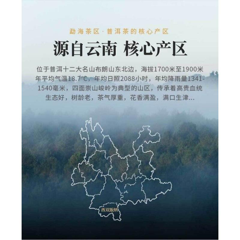 CIFbuy Xinhui Chenpi Yunnan Puerh Tea Cake Tea 10 Years Early Spring Citrus Tea 357g
