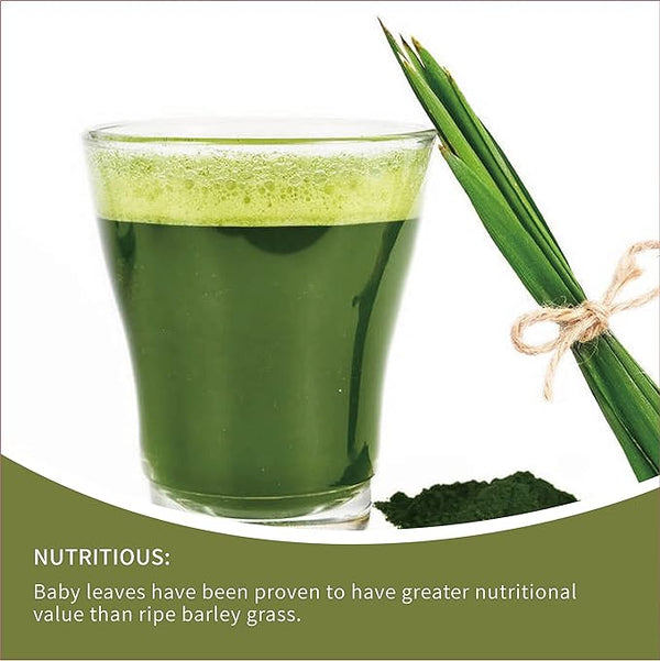 Organic Barley Grass Powder 250g, Green Superfood for Smoothie Non-GMO, Finely Ground Whole Dried Young Leaves, Pure, Kosher