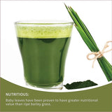 HelloYoung Organic Barley Grass Juice Powder 250g Made from Concentrated Juice Superior to Barley Grass