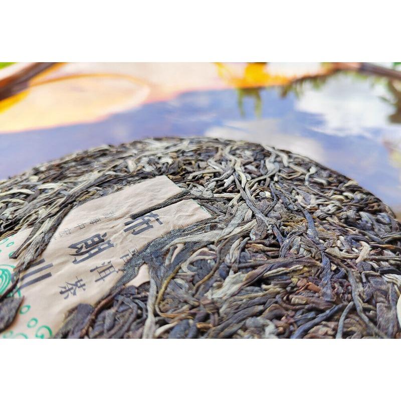 CIFbuy Yunnan Menghai Pu'er Tea Brown Mountain Early Spring Arbor Pu'er Raw Tea Cake