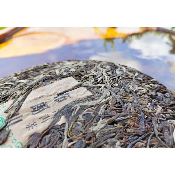 CIFbuy Yunnan Menghai Pu'er Tea Brown Mountain Early Spring Arbor Pu'er Raw Tea Cake