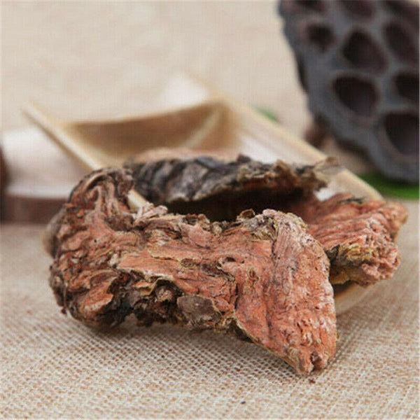 CIFbuy Rhodiola Rosea Root 100% Natural Herbal Tea High Grade Wild Whole Root Pieces