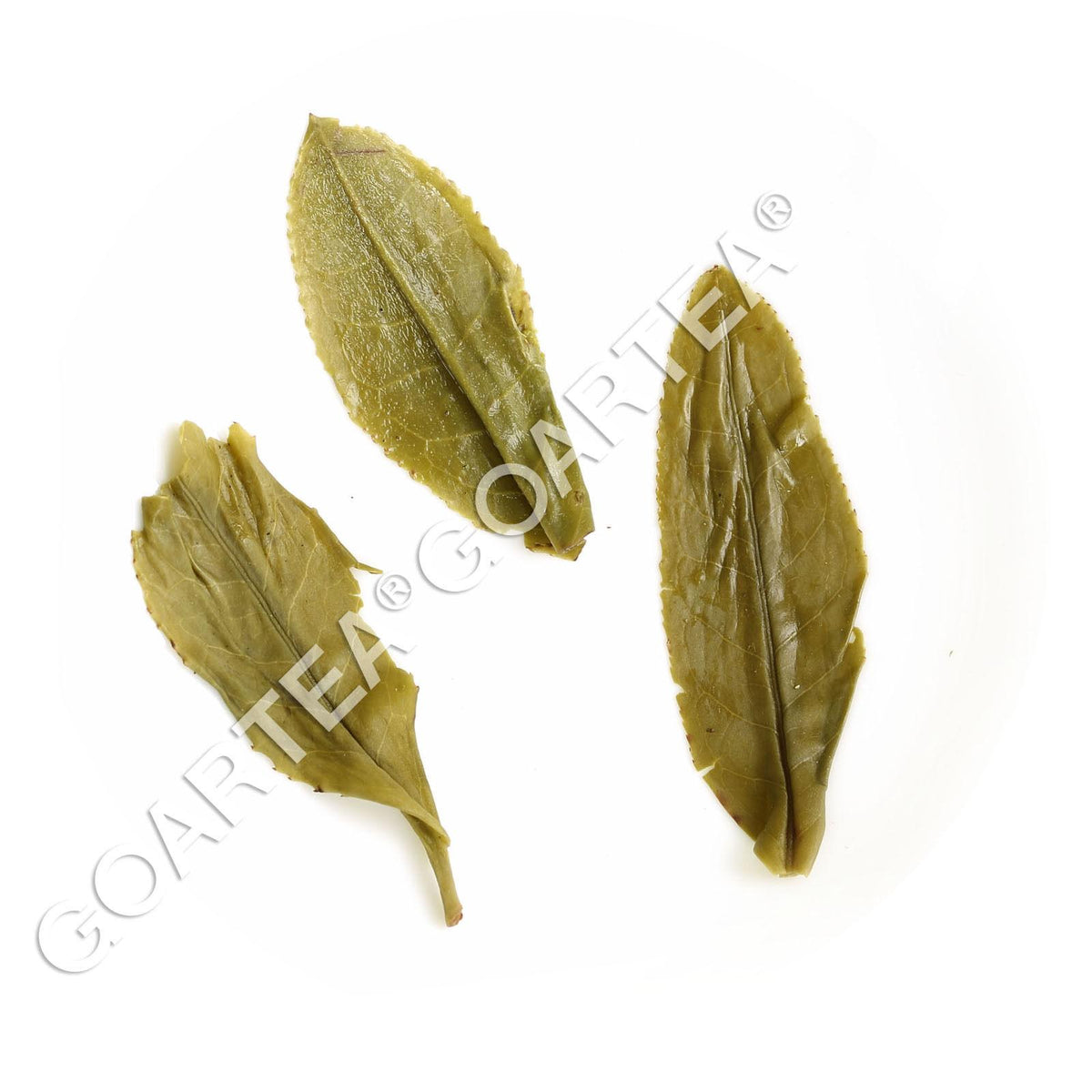 CIFbuy 100g Premium Melon Slice Liuan Guapian Spring Green Tea Chinese Loose
