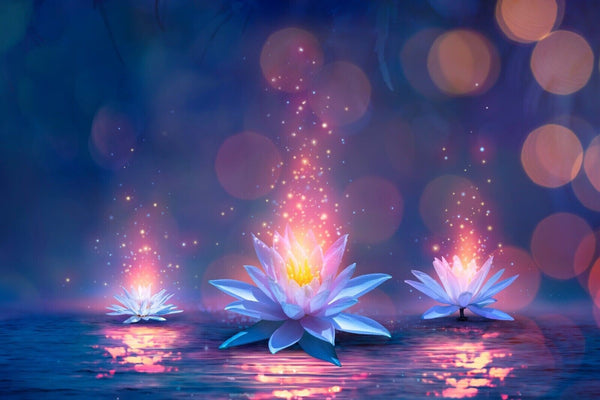 28g Ägyptische Blaue Lotusblumen (Nymphaea Caerulea) – Trockenblumen aus Ägypten