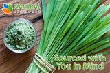Barley Grass Powder - USDA Certified Organic Barley Grass Powder - Non-GMO