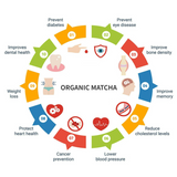 Ceremonial Grade Organic Certified Energy Booster Detox Matcha Green Tea Powder