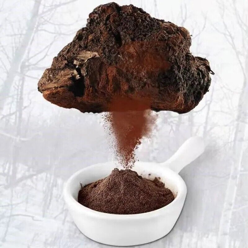 Chaga Mushroom Powder - Premium Quality - Promotes Immune Health Secondary image
