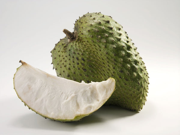 Annona Muricata Guanabana Herbal Tea 100 Tea Bags Pure Leaf Soursop