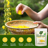 100% Natural Mullein Leaf Herbal Tea For Lung Cleansing Relief Cough Metabolism