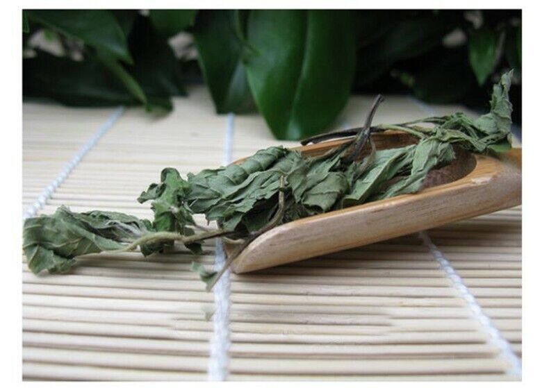 50g Organic Cool Mint Tea Dired Mint Leaf Wild Tea Herbal Tea Reduce Liver Fire