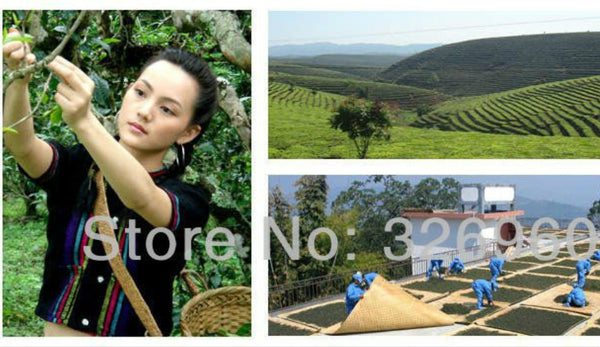 100g Yunnan Puerh Tea Glutinous Rice Flavor Puer Tuocha Black Tea Ripe Pu Er Tea