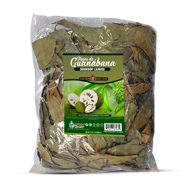 100% natürliche Guavenblätter Pure & Premium frisch getrocknete Hojas de Guayaba