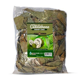 100% natürliche Guavenblätter Pure & Premium frisch getrocknete Hojas de Guayaba