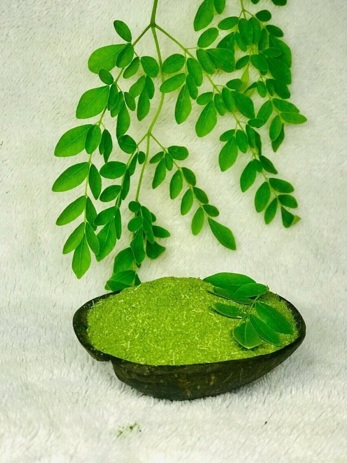 Organic Moringa Leaf Powder Oleifera Premium Herbs Quality Herbal Wholesale Secondary image