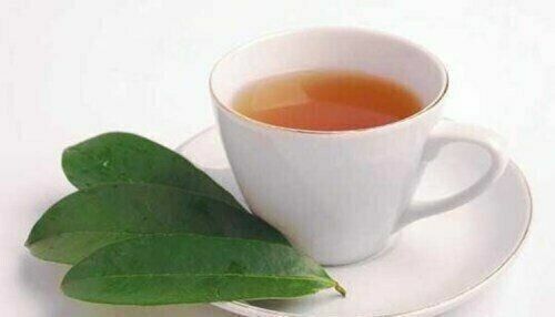Soursop Graviola Tea 100g TEA   - Annona Muricata - Organic 100% Pure Main image