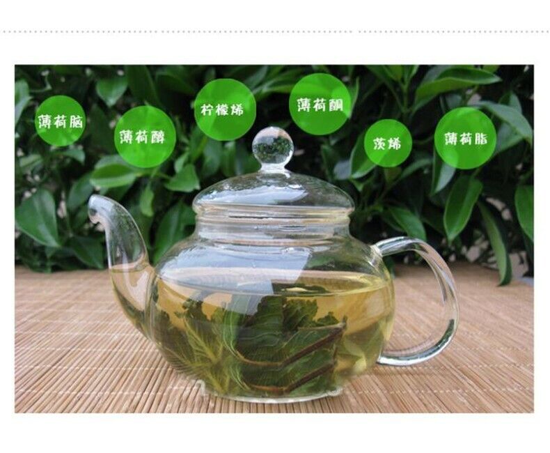 50g Organic Cool Mint Tea Dired Mint Leaf Wild Tea Herbal Tea Reduce Liver Fire