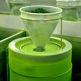 Japanese Matcha Green Tea 100g Matcha Powder