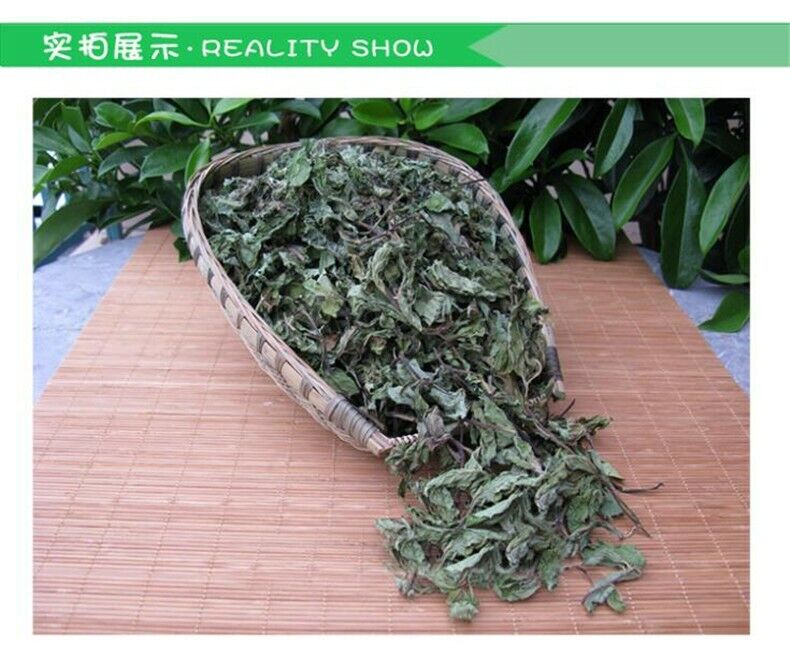 50g Organic Cool Mint Tea Dired Mint Leaf Wild Tea Herbal Tea Reduce Liver Fire